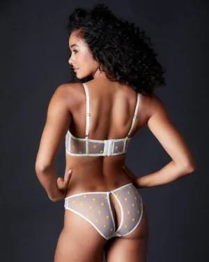 Lorine Brief