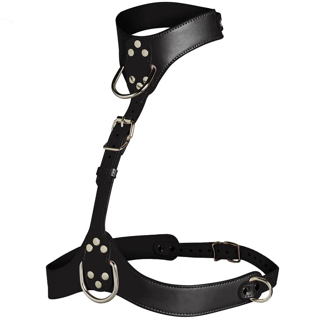 Master Series Vixen Chest Harness in Black
