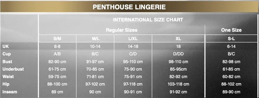 Penthouse - Dark Wish Crotchless Bodystocking